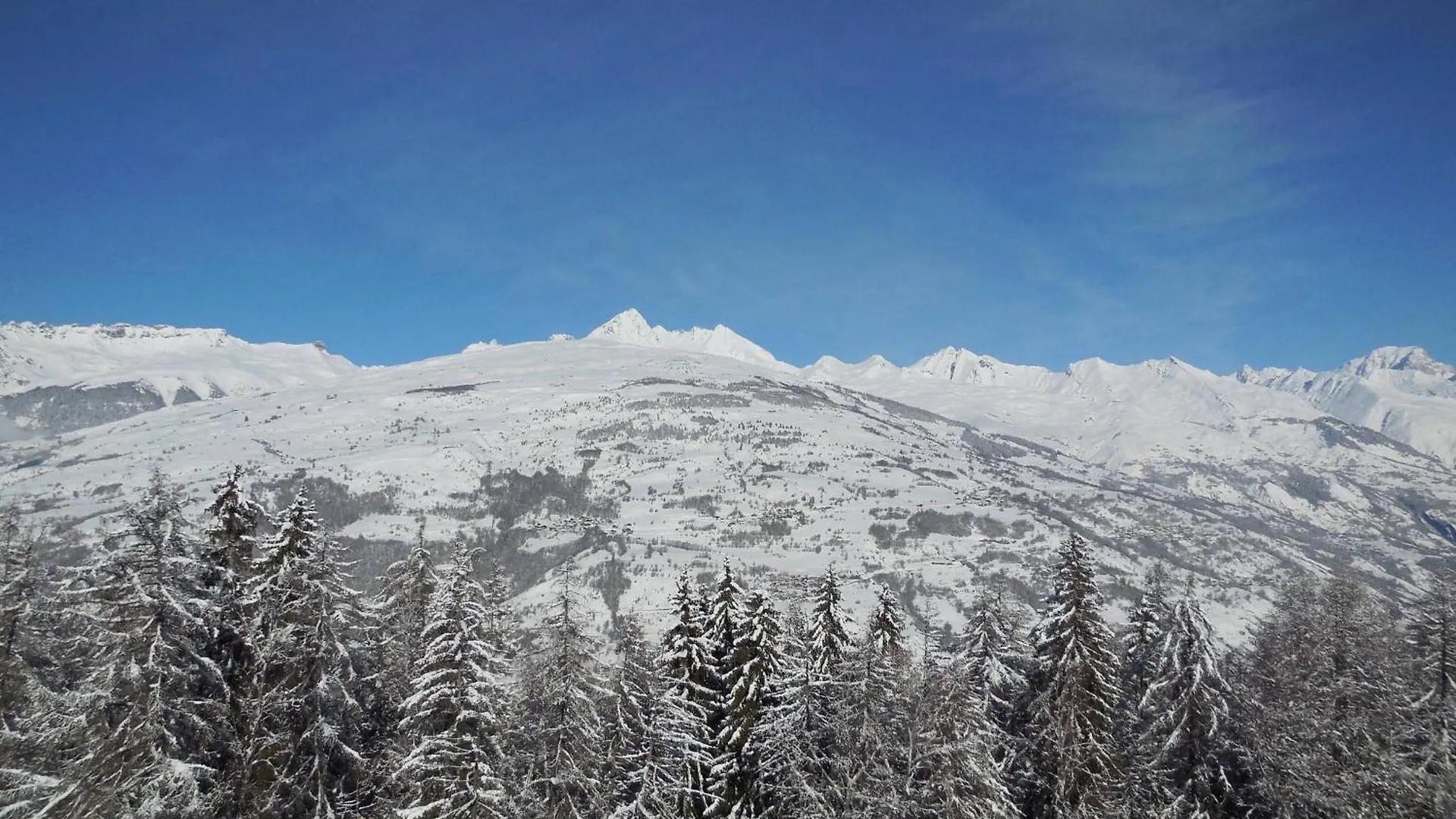 Studio Au Centre, 4 Pers, Animaux Admis, Balcon - Fr-1-353-71 La Plagne